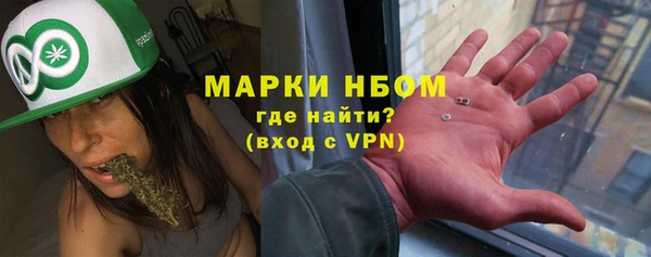 ECSTASY Алзамай